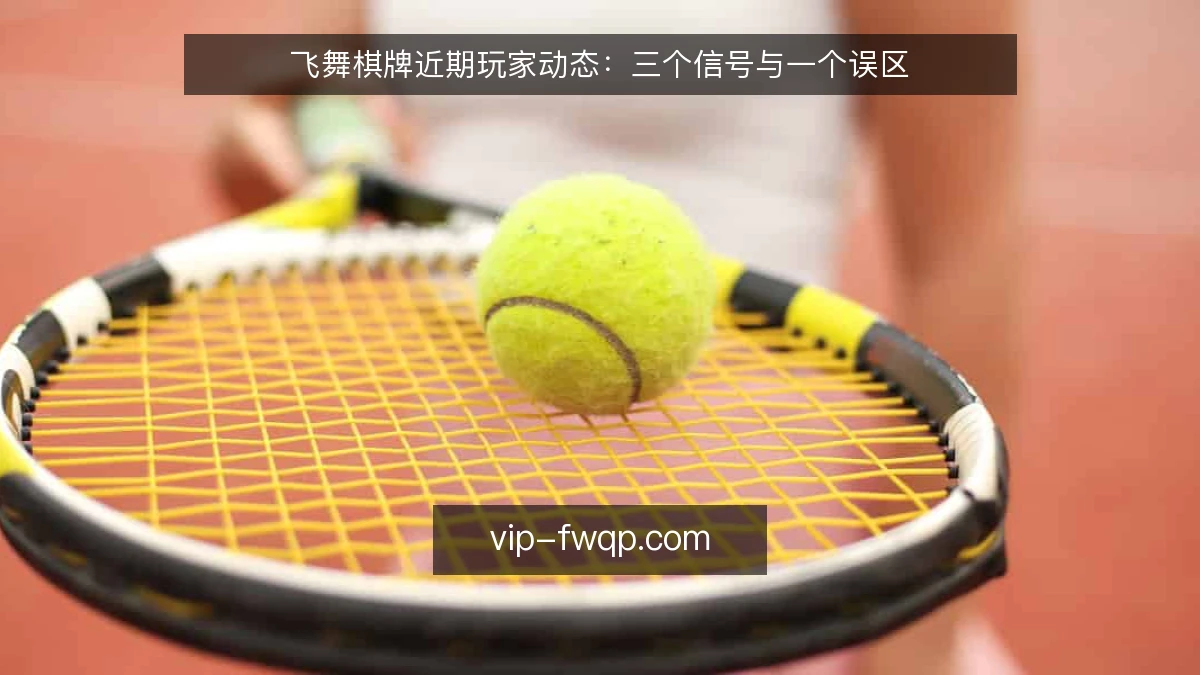 飞舞棋牌近期玩家动态:三个信号与一个误区
