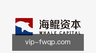 飞舞棋牌